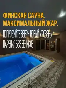 Багира - 33