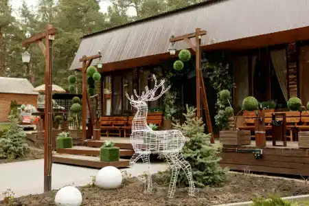 Лес - 19