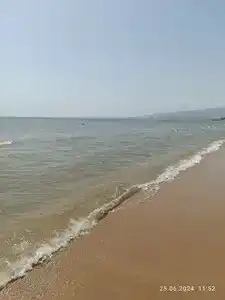 Семейный - 36