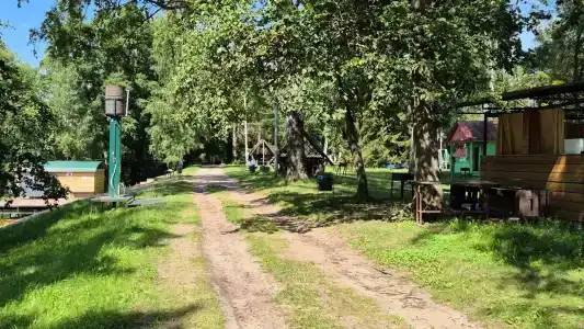 Зеленая роща - 49