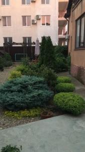 Garmoniya - 6