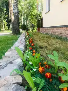 Серебряный родник - 24