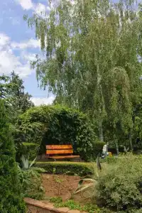Фламинго - 26