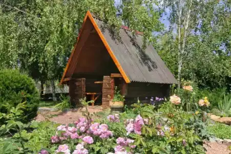 Фламинго - 8