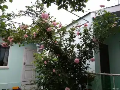 на Фрунзе 89 - 6