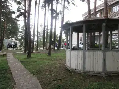 Сокол - 16