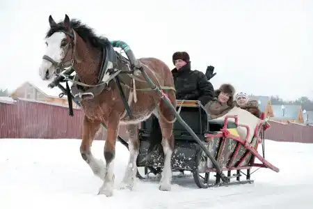 Велегож - 2