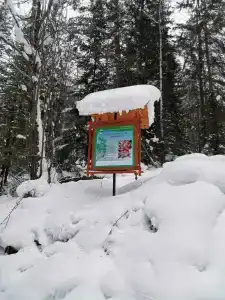 Таловский лог - 23