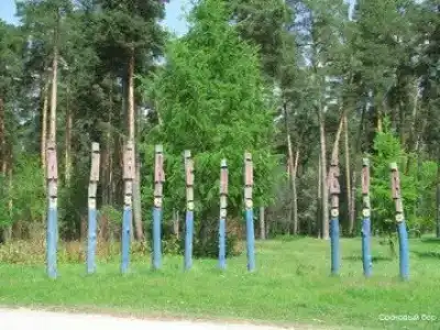 Сосновый Бор - 33