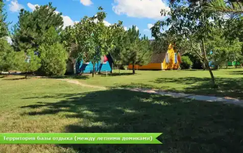 Лилия - 3