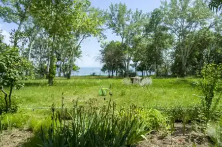 Мечта Тея - 79