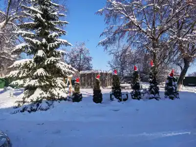 Тихая Гавань - 35