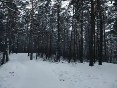 Ясная Поляна - 19