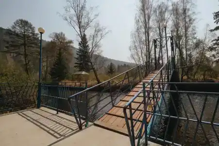 Голубые Ели - 25