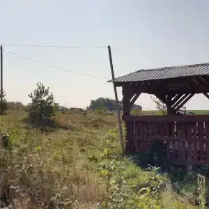 Золотая рыбка - 13