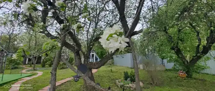 Кондуки - 9