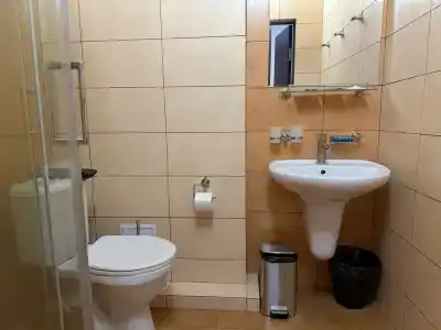 Платан - 44