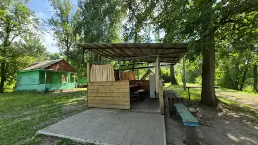 Зеленая роща - 35