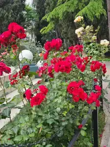 Алушта - 6