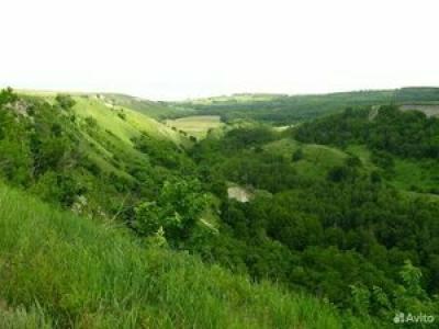 Панорама - 40