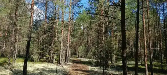 Валерина Усадьба - 49