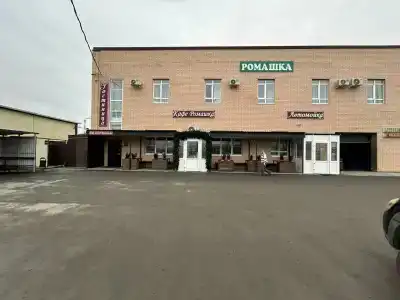 Ромашка - 14