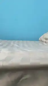 Аист - 14