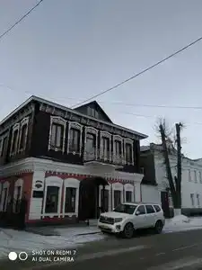 Снегири - 38