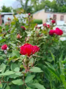 Relax zone - 6