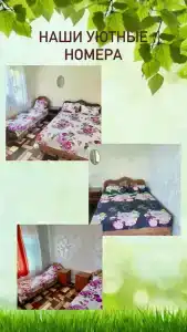 у Ипполита - 19
