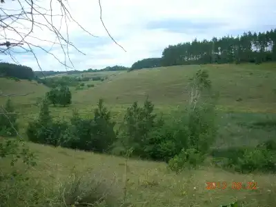 Гармония - 7