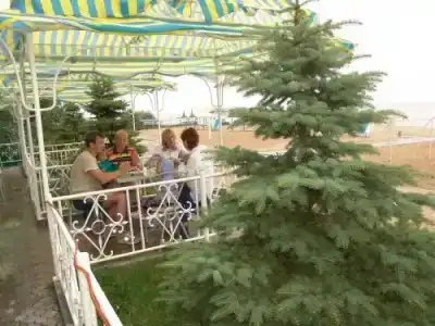 Пансионат Дорожник - 80