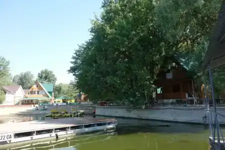 Дубрава - 17