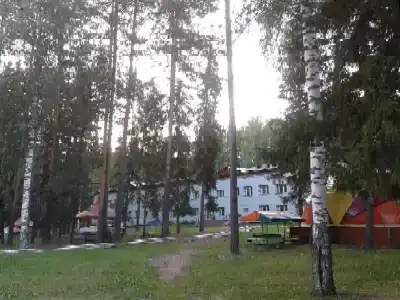 Селычка - 53