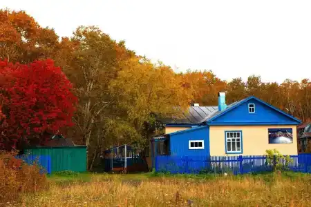 Вулканолог - 2