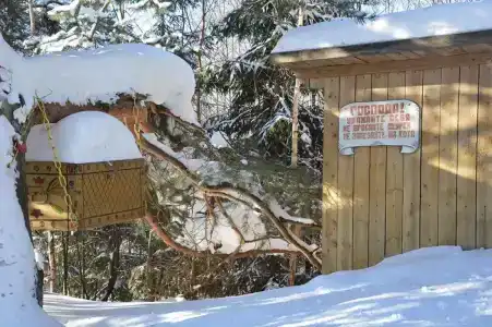 Визябож - 3