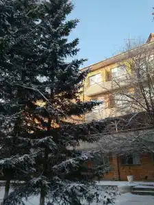 Три Медведя - 31