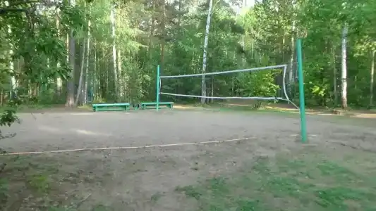 Сосновая - 5