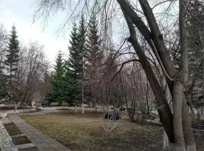 Три Медведя - 45