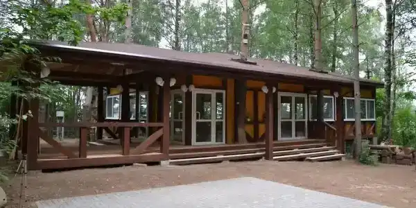 Лесная поляна - 23