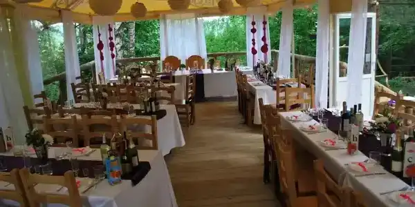 Лесная поляна - 18