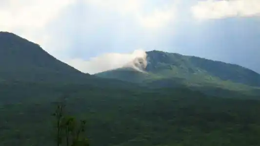 Лесной кордон - 79