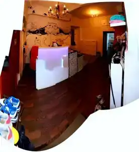 Котики - 2
