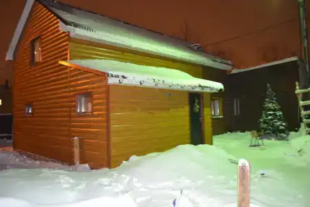 Соловей - 43