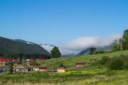 Луга Алтая - 6
