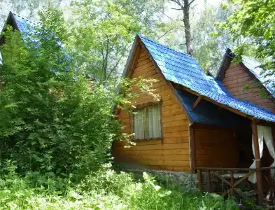 Русич - 6