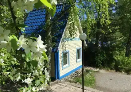 Русич - 11