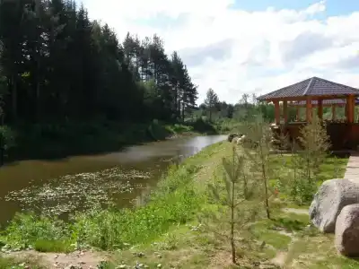 Медвежий угол - 7