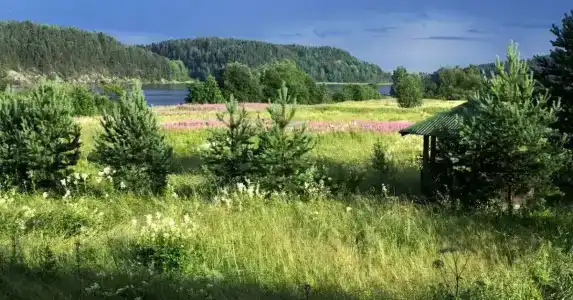 Camp First Line - 4