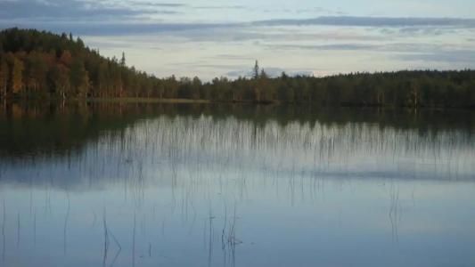 Урочище Коркиниеми - 11
